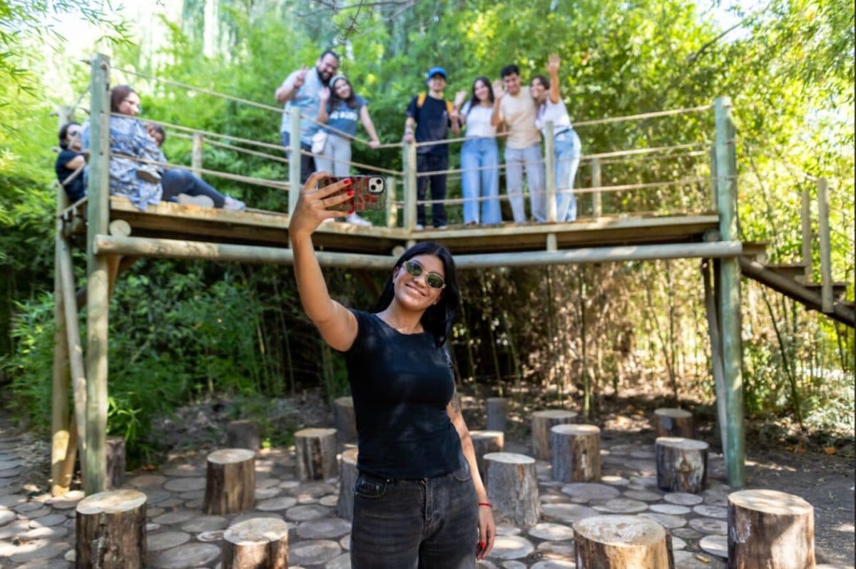 Visitantes en el mirador de madera entre el bambú